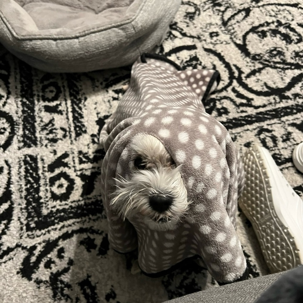 Meet your Posher, Brandi